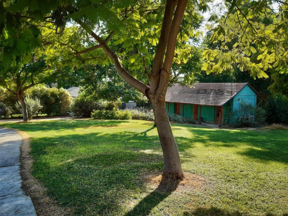 Kibbutz Hatzor A Room Close To Ashdod Hatzor Ashdod Exteriér fotografie