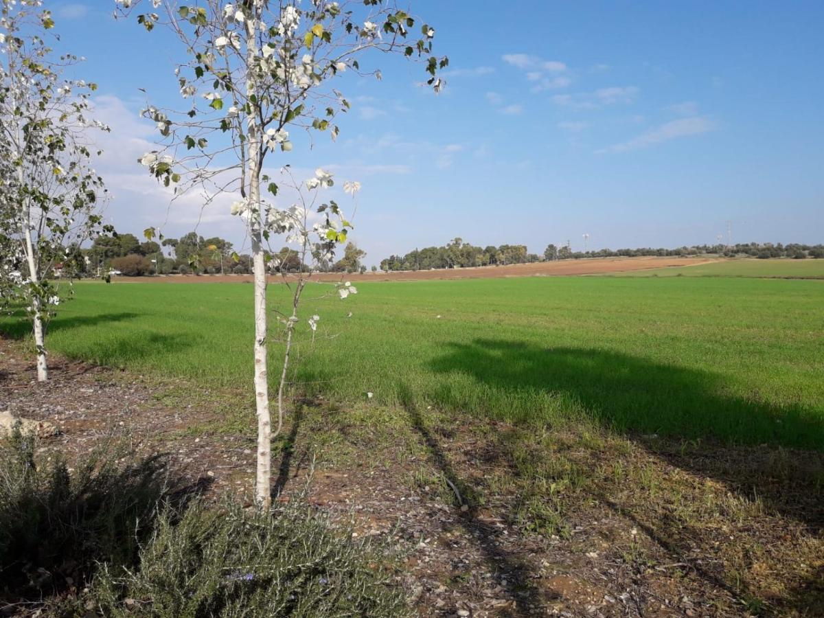 Kibbutz Hatzor A Room Close To Ashdod Hatzor Ashdod Exteriér fotografie